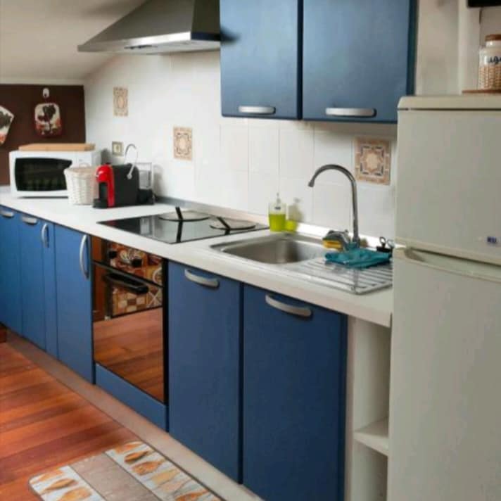 A modern kitchen is equipped with blue cabinetry, a stainless steel stove, and a sink. A white refrigerator stands nearby. The countertop holds essential cooking tools, with a microwave and various kitchen accessories arranged for convenience. Wooden flooring adds warmth to the space.