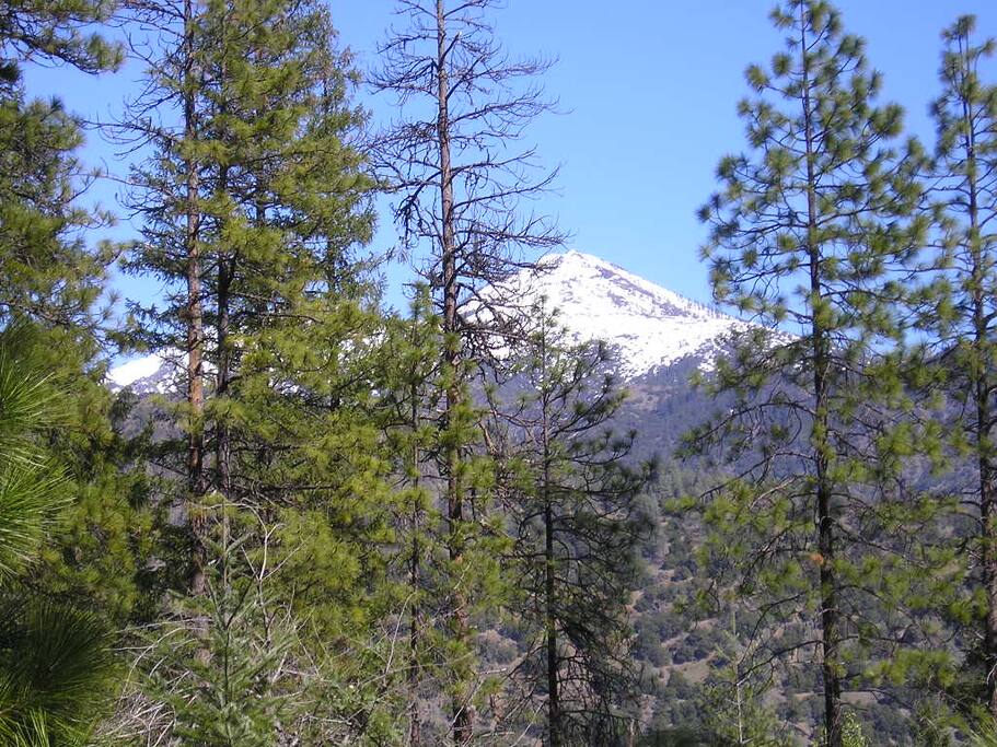 View to East