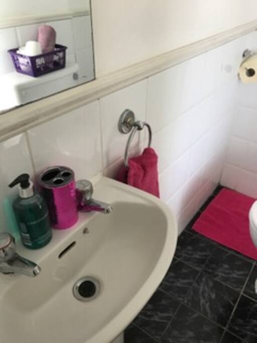 Shower Room & Toilet