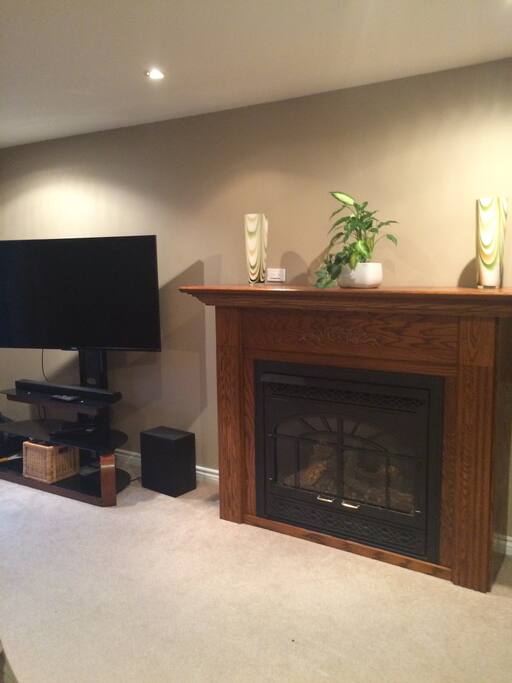 TV and Fireplace