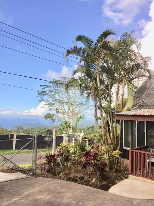 With a view of mountains and rainforest