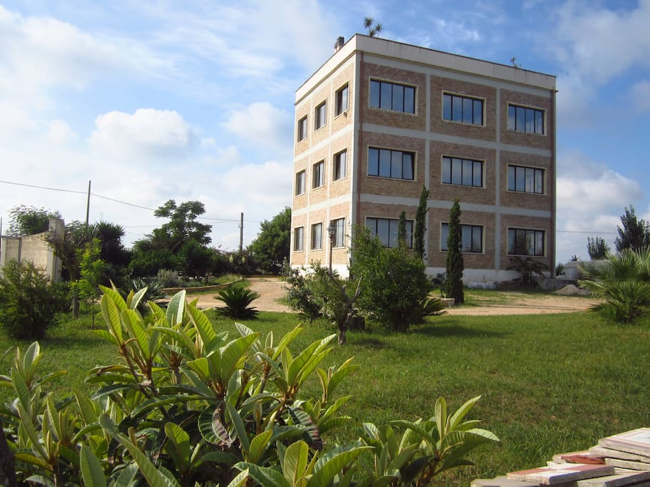 garden and building