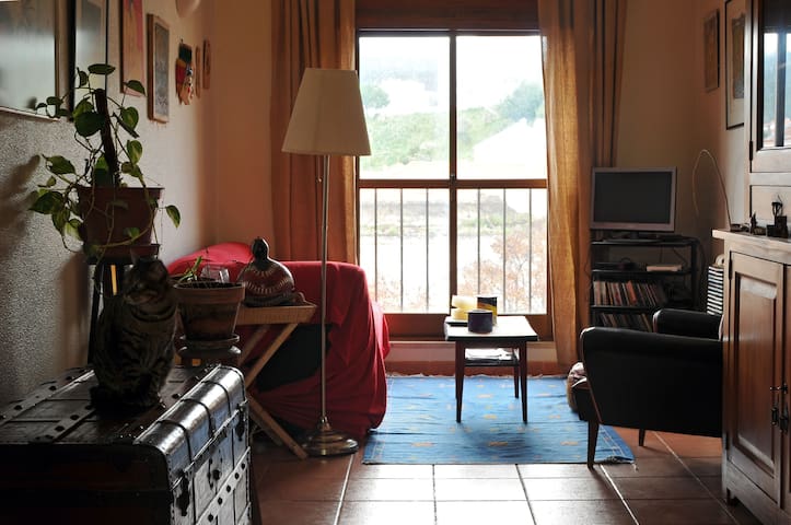 Private room in shared apartment