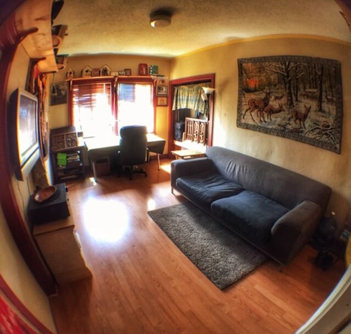 Living room with Apple TV, Internet, a comfortable couch, nice desk and a record player I built into my closet