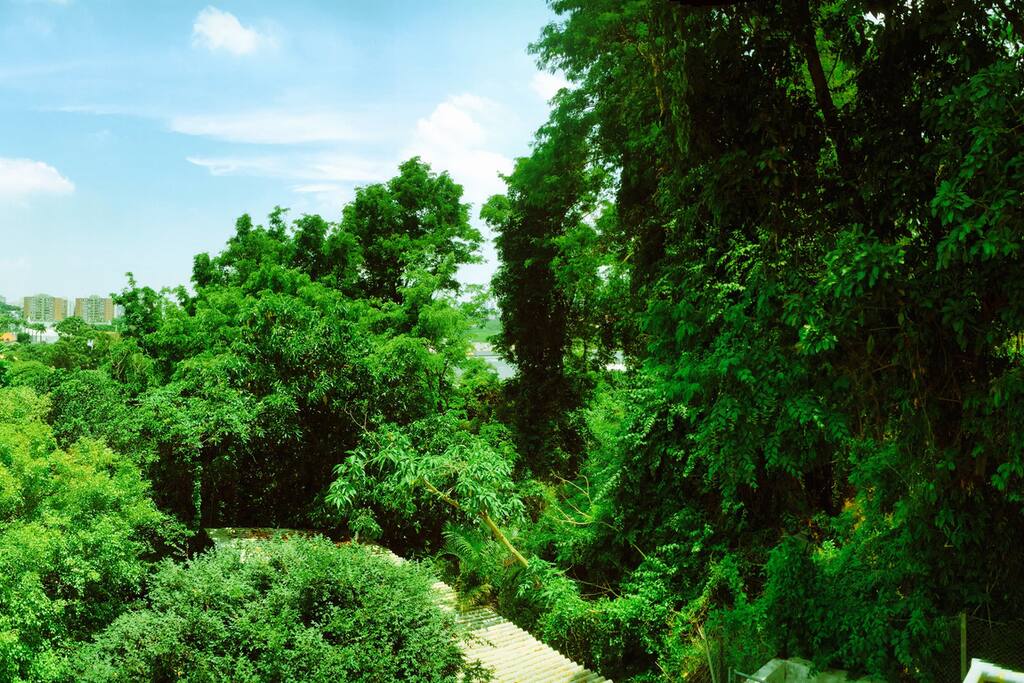 Vista do Deck