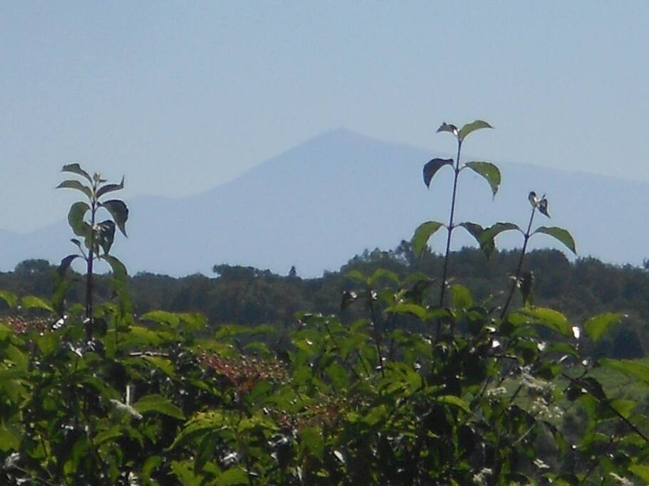 Dans le lointain... le mont Ventoux