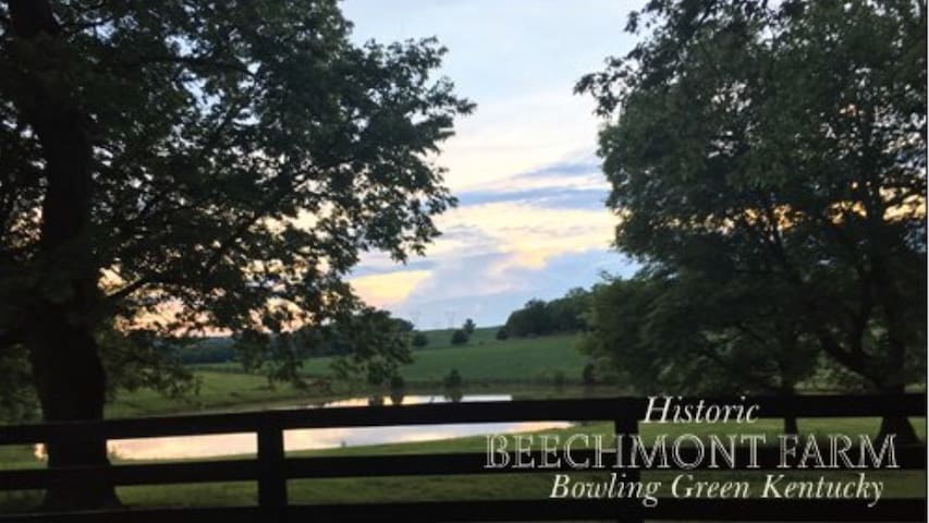 Airbnb Bowling Green Vacation Rentals Places To Stay