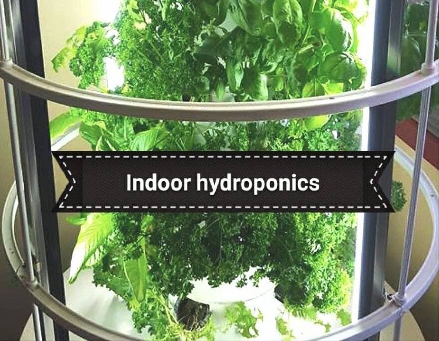 hydroponics