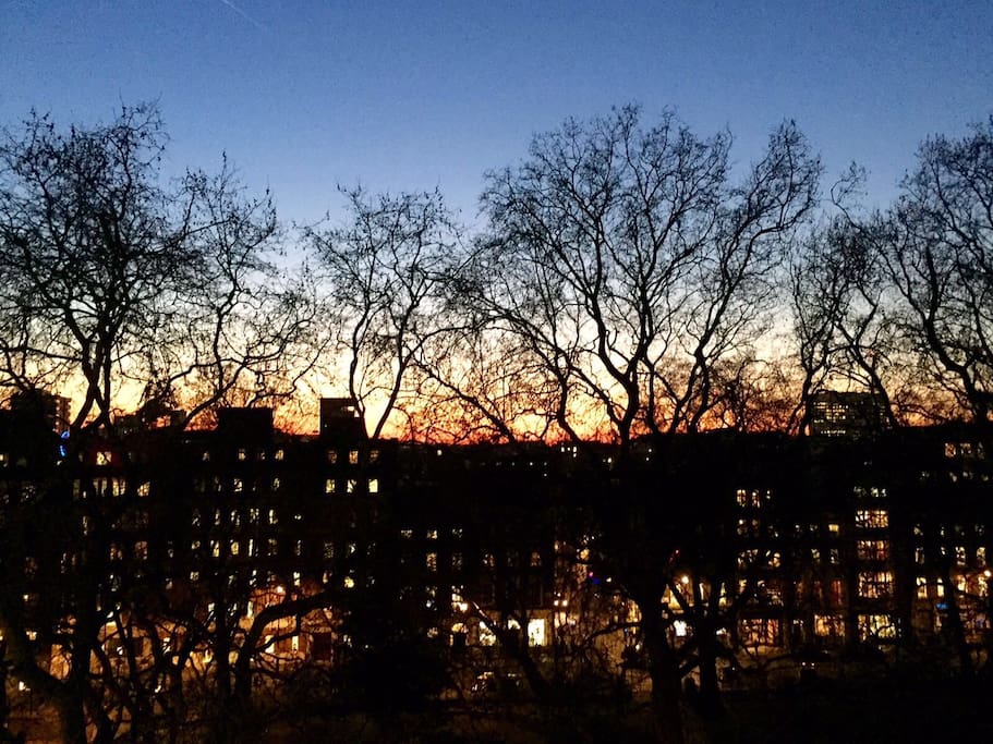 Amazing view over the roof tops of Soho