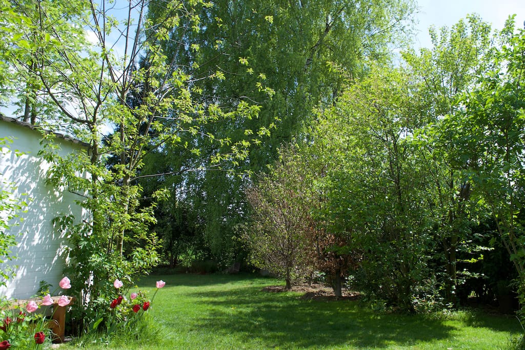 Frühlingsgefühle im Vorgarten, die Farben sind zurück!