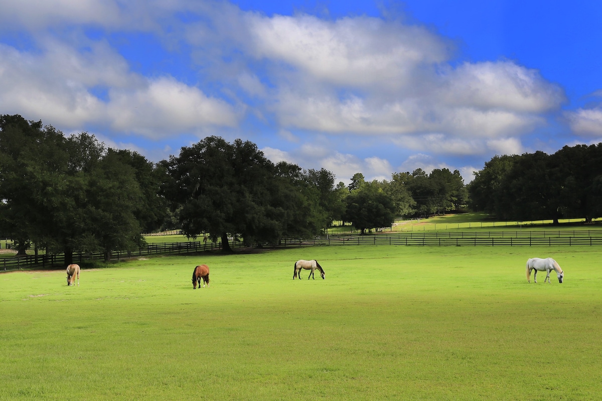 Several horses graze peacefully in a lush green pasture, surrounded by trees and a wooden fence. A clear blue sky with fluffy clouds creates a serene backdrop for the calm rural setting.