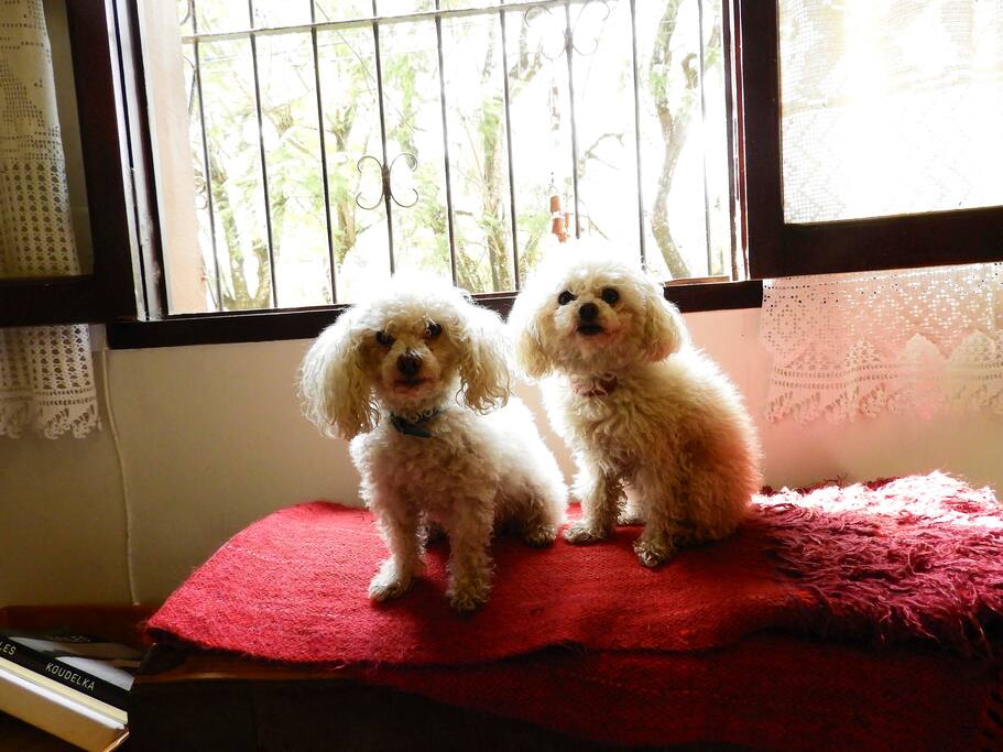 Cocó y Canela