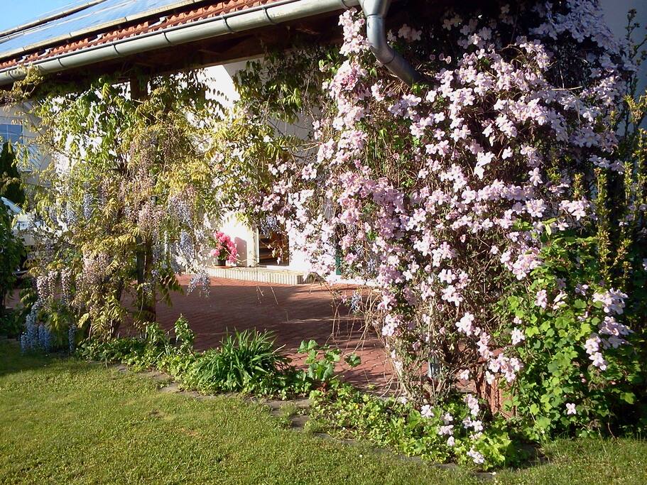 Der Garten