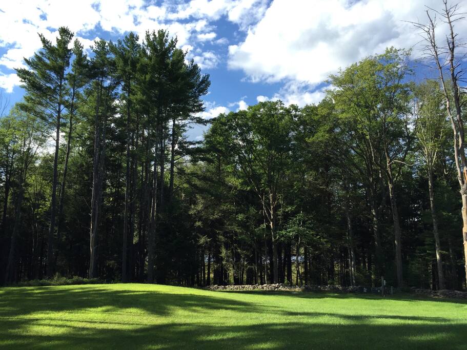 Gorgeous wooded scenery