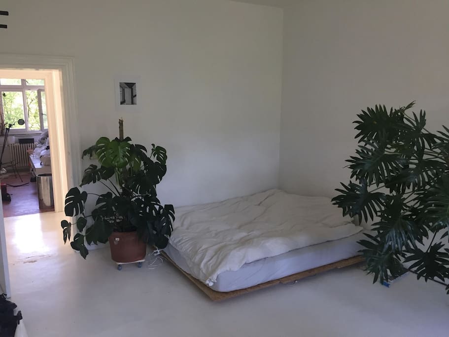 room/bed