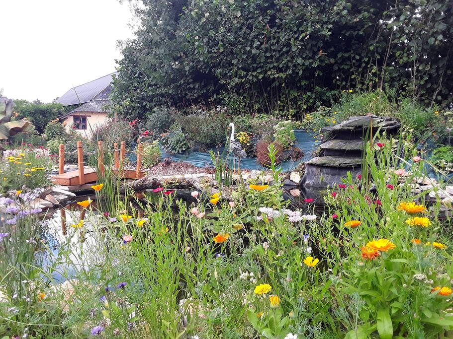 Jardin d'eau