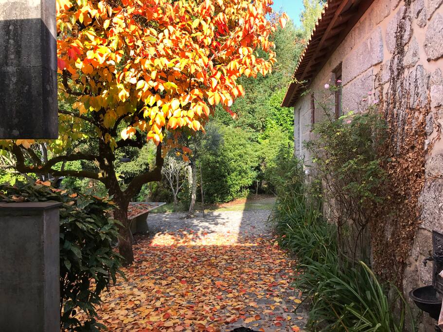 Pátio/ Courtyard
