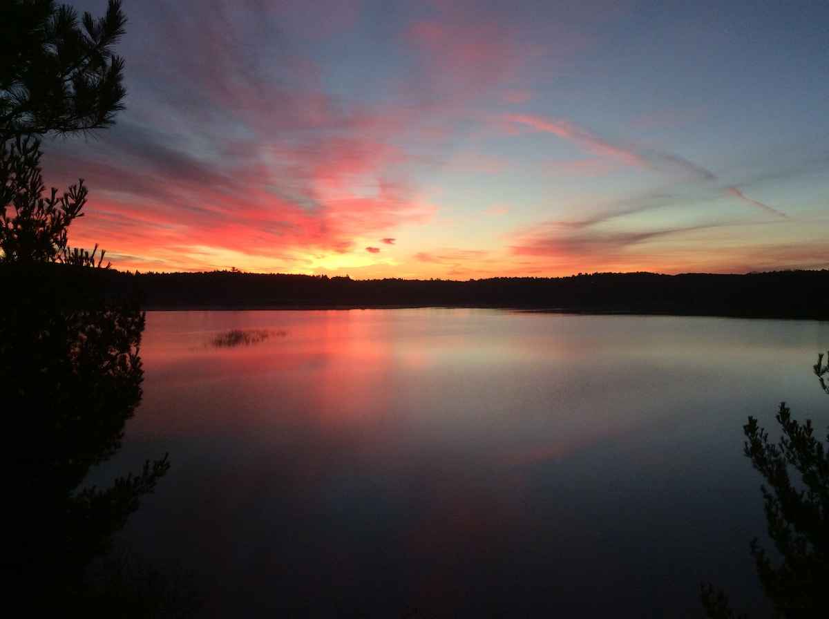 A serene lake is depicted at sunset, with vibrant hues of pink, orange, and purple reflected on the calm water surface. Dark silhouettes of trees frame the foreground, enhancing the tranquil setting. The horizon features a gentle outline of distant tree line against the colorful sky.
