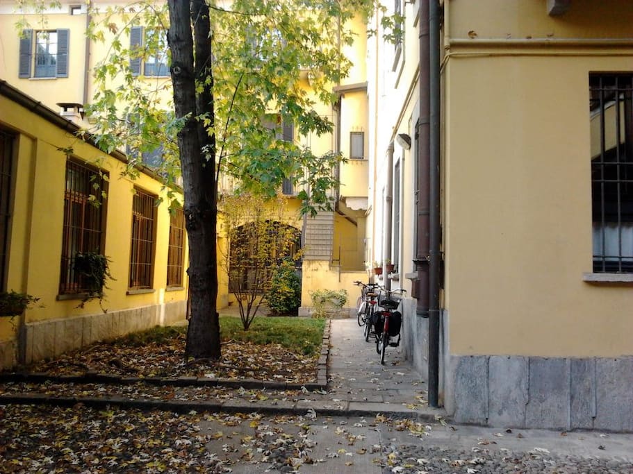 the entrance from a lovely, very calm courtyard