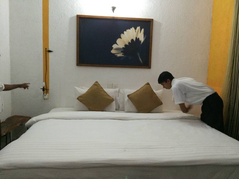 The Bed