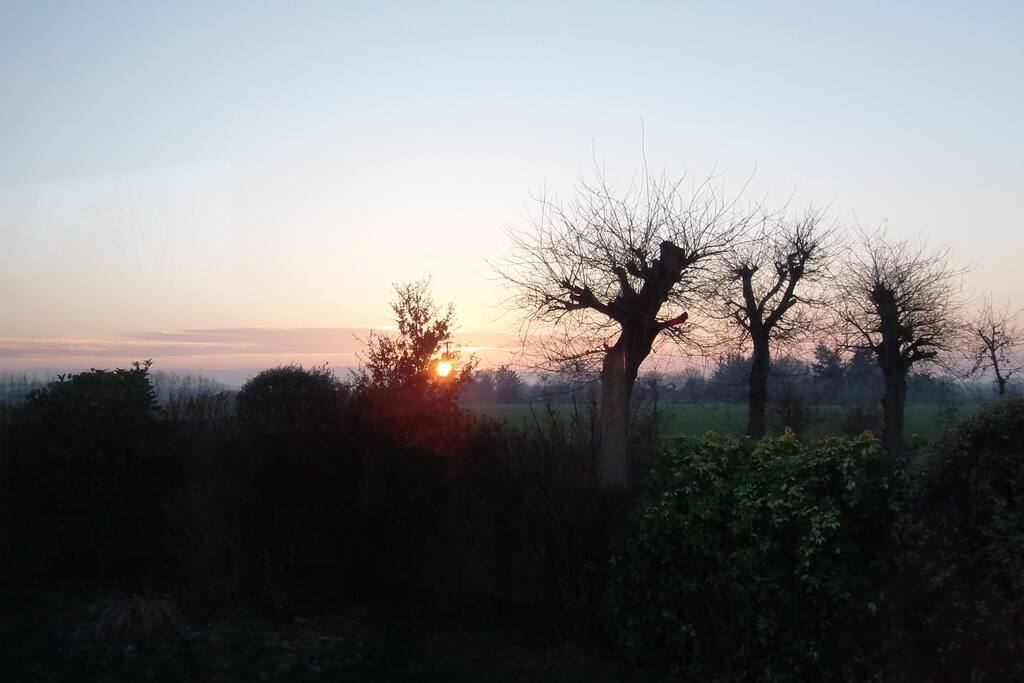 la vue devant la véranda