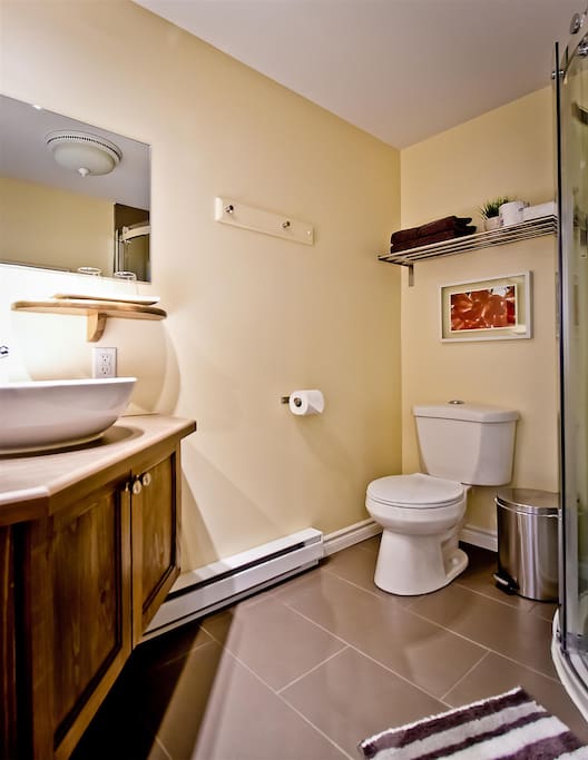 Salle de bain privée chambre 1