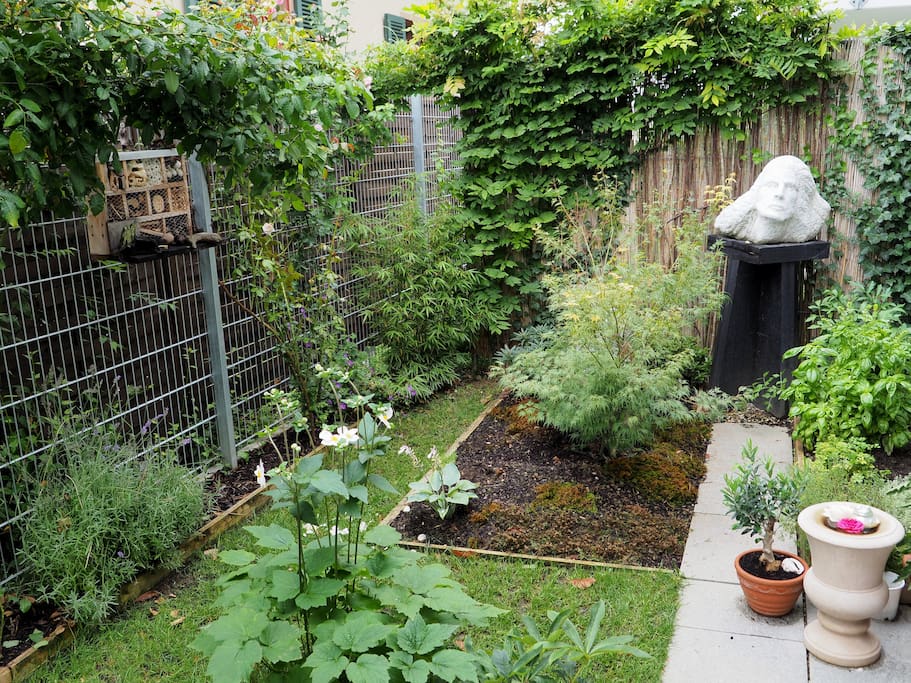 Blick in den Garten