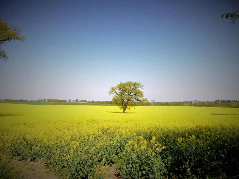 Landschaft ums Dorf