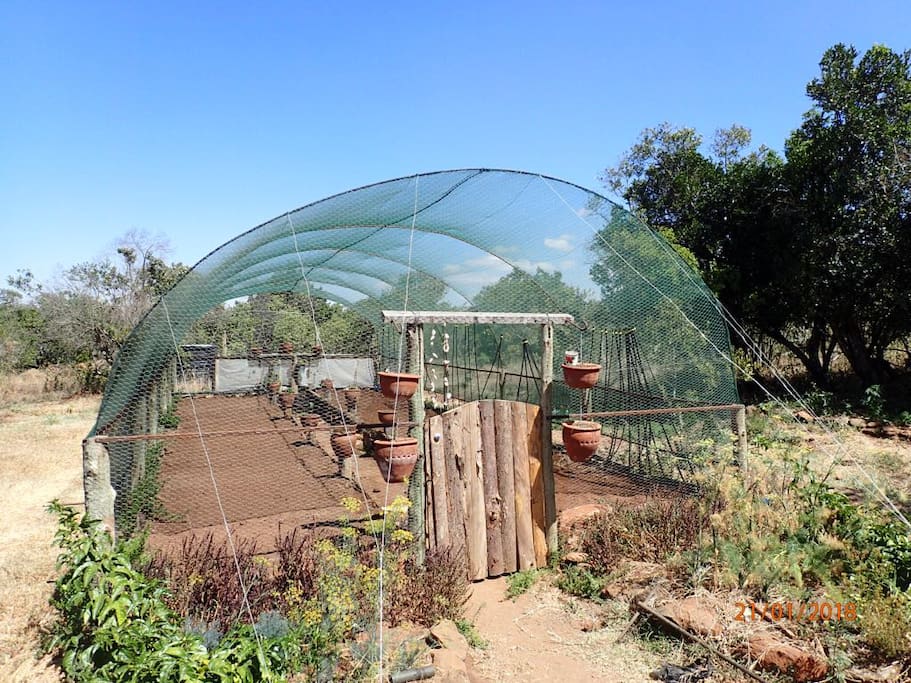 Inspirational Green house. Currently being planted with vedgetables, recycled shower water irrigation system to grow your own food. Pick your own for dinner. 20 Mtrs from the Wagons