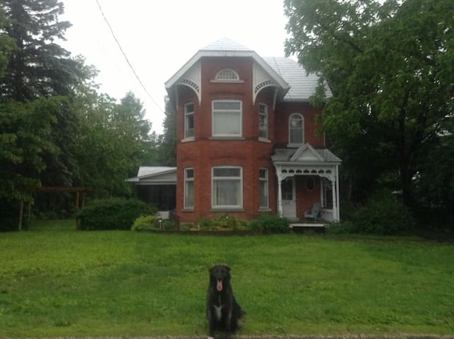 Victorian Home/One bedroom/Oldtowne