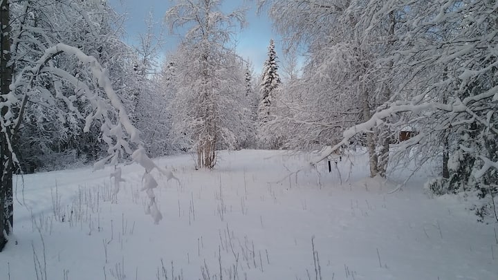 Cozy room by Chena Lakes and Santa Claus House!