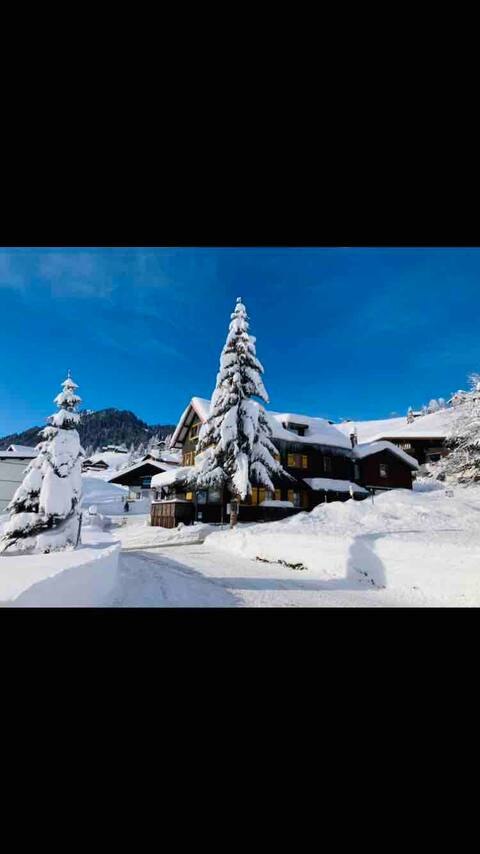 Alpenrose: Families wanted! Mountain view included