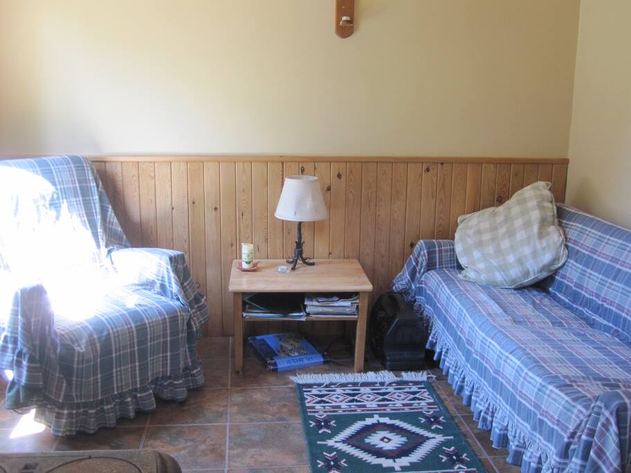 sitting area with pull out couch