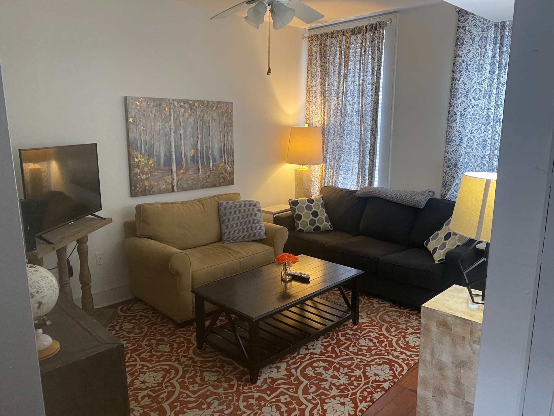Amazing 1-bdrm in the Fan, Carytown/VMFA/Byrd Park