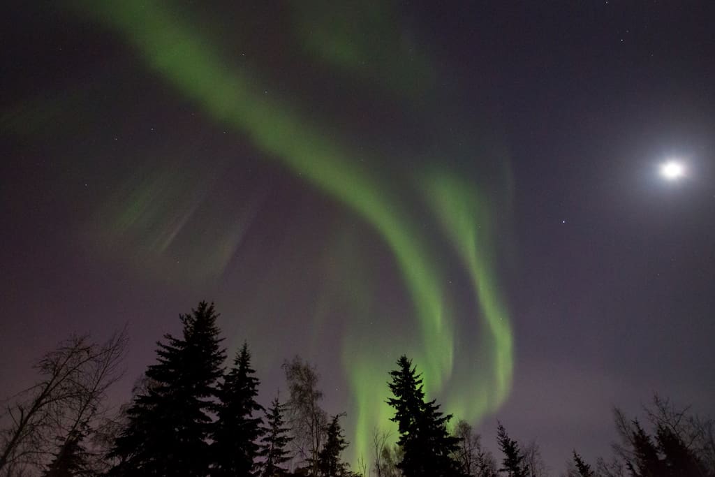 This was taken directly above our home! It's common for us to be able to enjoy the splendor of the Northern lights throughout the winter months, right in our back yard.