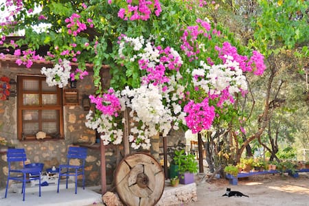 Seafront Stone House