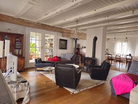 Luxury apartment LOFT in the city center with terrace