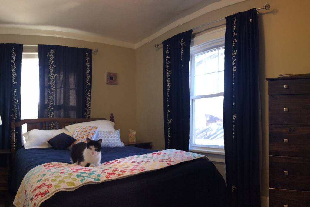 Guest Bedroom: Bingo will not be here for your stay. He just wanted to pose for the photo. ;)