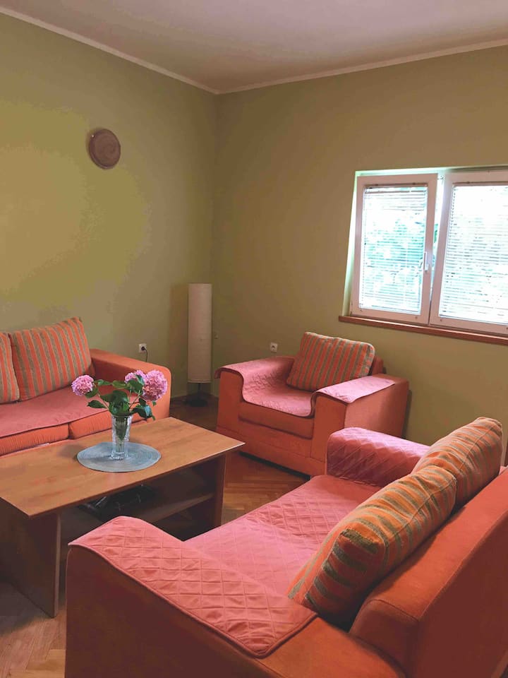 Comfortable house (airbnb)