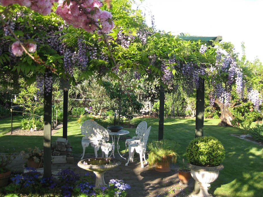back garden