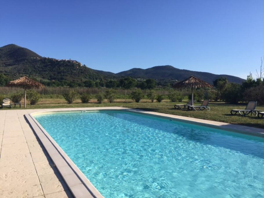 Common Pool
