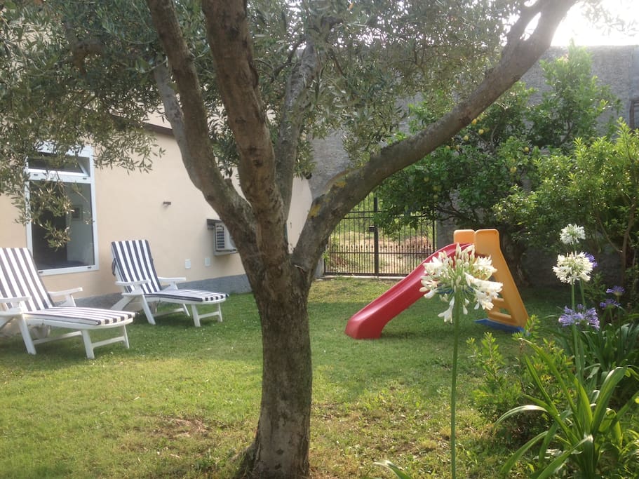 Giardino