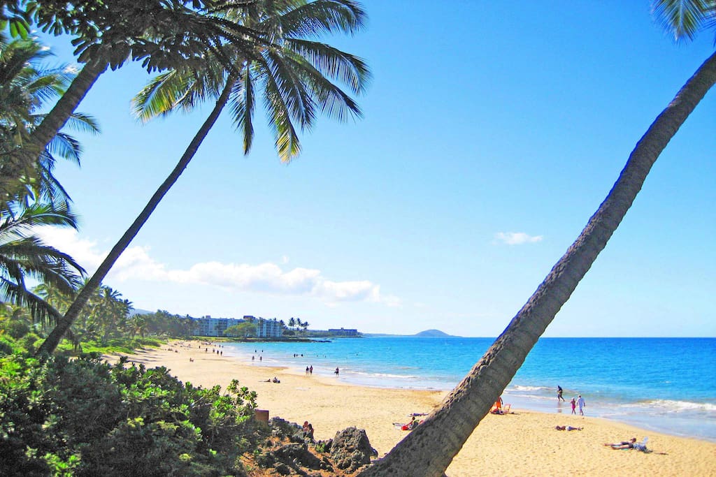 Charley Young Beach is half a block away.
