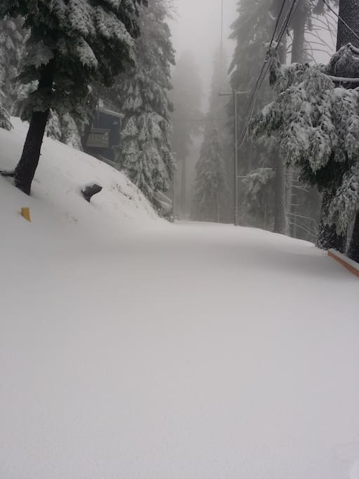 Our street right after it snowed