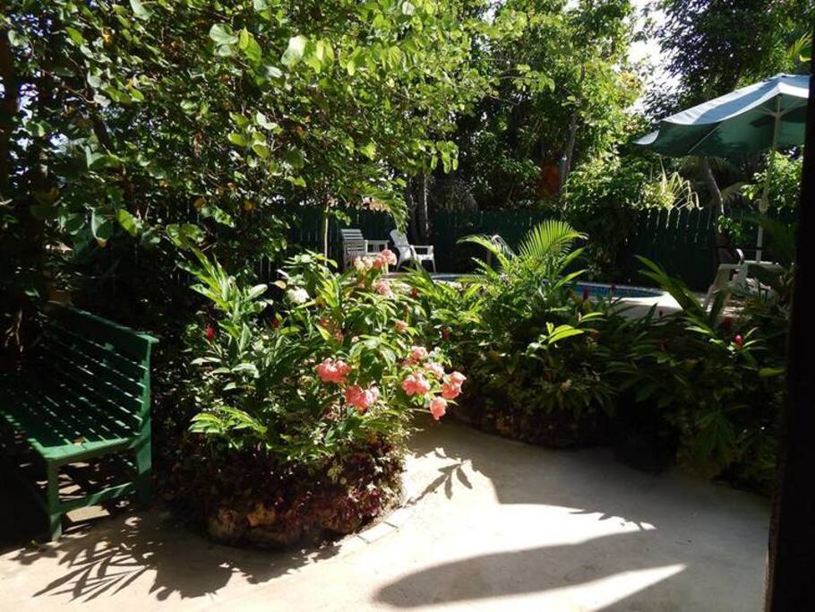 Garden space outside the Coconut Cottage
