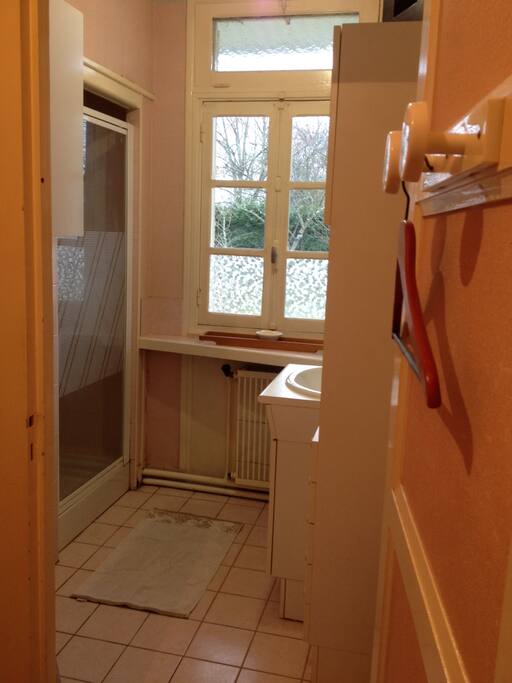 Salle de bain privative avec douche et lavabo