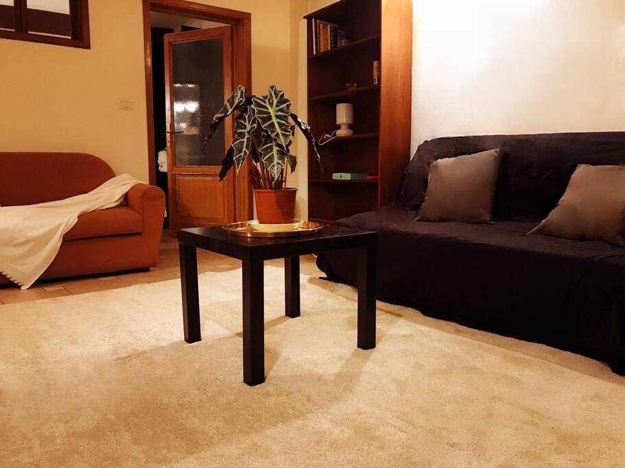 the living room with a foldable sofa bed of 1.8m*2m and a double sofa.