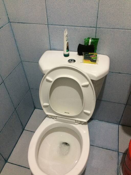 toilet