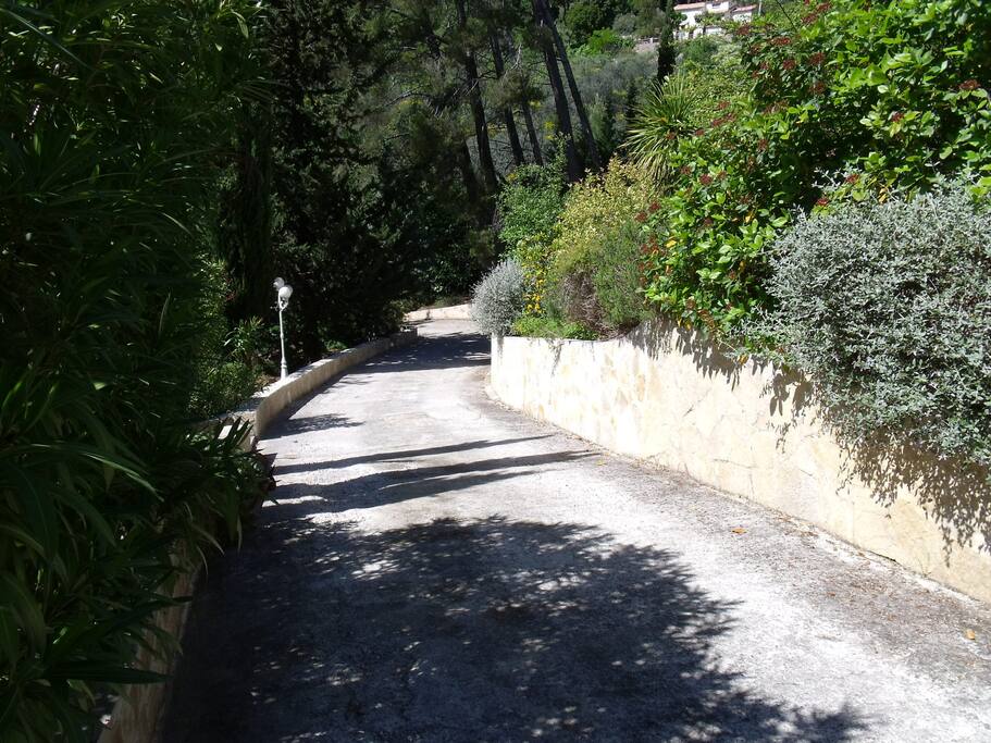 Chemin privé intérieur à la propriété