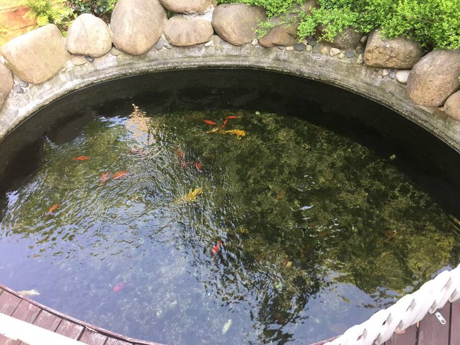鱼塘